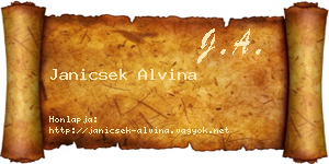 Janicsek Alvina névjegykártya